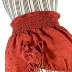Live to be spoiled Rust Ruffled Tassel Tie Front Boho Crop Top Women Sz XL Photo 3
