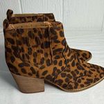 Beast Fashion  Brown Leopard Ankle Booties Photo 5