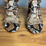 Schutz Julianna Block Heel Sandal 9.5 Snakeskin Embossed Leather Gladiator NEW Photo 6