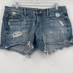 Abercrombie & Fitch  y2k shorts 10 Photo 0