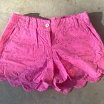 Crown & Ivy Pink Shorts Photo 1