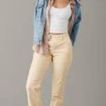 American Eagle NWT  Stretch Cream Curvy High Rise Kick Boot Corduroy Pants Sz 20 Photo 1