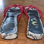 Circus by Sam Edlman Snake Print Mini Heeled Sandals Photo 1