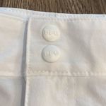 Columbia NWOT  4” Coral Point White‎ Stretch Fishing  Shorts Size 24W Photo 3