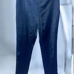 Soft Surroundings Chameleon Blue Skinny Ankle Pant NWT Large Navy To Black 14-16 Photo 0