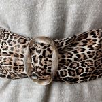 Leopard Print Plastic Elastic Waistband Belt Fashion Multi Photo 0