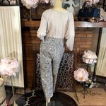 Talbots  WOMAN BLUE AND BEIGE PAISLEY PRINT PANTS NWT (26W) Photo 2