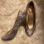 Jaclyn Smith Snake Skin Heels Photo 1