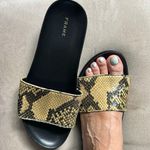 frame denim Frame Le Osborne LeatherSnake Sandals Photo 6
