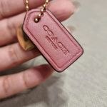 Coach Nolita 19 In Signature Canvas With Stripe Heart Print CA796 Photo 3