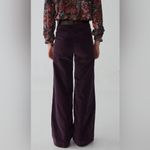 MAISON HOTEL Viva Pant Wide Leg In Deep Purple NWT Size Large Velvet Photo 1