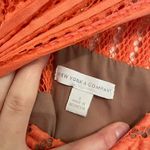 NEW YORK COMPANY NY&CO Eyelet Fit Flare Dress Coral Orange Pink Sleeveless Midi Photo 3