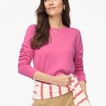 J.Crew NWT  Teddie Pink Cotton Pullover Sweater S Small hole Incl patch Photo 0