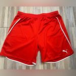 Puma Women’s Athletic Shorts, Size Large Photo 0