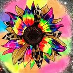 New! Boho tie dye splatter rainbow sunflower T Shirt Gray Size L Photo 1