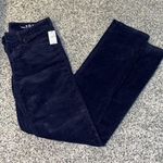 Gap Navy Corduroy Pants Photo 0