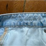 American Eagle AE Tomgirl Shortie Photo 2