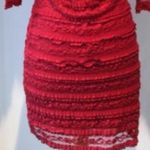 Max Studio Lace Dress Photo 4