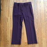 Ann Taylor The Sophia Straight Leg Rich Burgundy Plum Pants Women’s Size 8 Photo 2