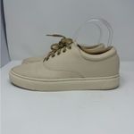 Nisolo Everyday Leather Sneaker Size 8.5 Photo 3