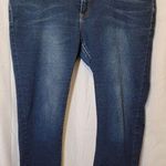 Tahari Blue Stretch Mid Rise Straight Cut Jeans Women's Size 14 Photo 0