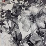 LORD & TAYLOR SHADES OF GRAY AND WHITE FLORAL SWEATER BUTTON DOWN LONG SLEEVE XL Photo 5