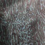 Needle‎ in Cloth Leopard Print High Rise Skinny Jeans Black Animal Print Size 6 Photo 2