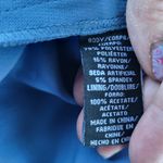 Jill Stuart  wedgewood blue skirt with ruffle Photo 4