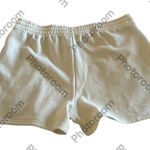 The North Face  Women’s Evolution Shorts, White dune, size XXL, NWT Photo 0