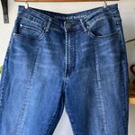Anthropologie Articles of Society High Rise Seamed 70’s Style Straight Leg Jean Size 28 Photo 2