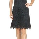 Eliza J . Navy High Neck Lace Sheath Dress Women’s Size 6 NWT Blue Floral Lace Photo 0