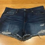 Time & Tru  women’s high rise jean shorts size 16. . Photo 0