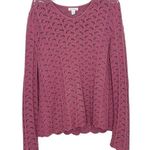 Charter Club Large 100% Cotton Pink Sweater Scallop Open Knit Crochet Photo 0