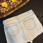 Pilcro Anthropologie  And Letterpress Shorts Photo 2