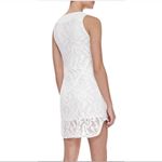 ✨Waverly Grey Cream Sleeveless Lace Overlay Bodycon Dress Size 2 Photo 1