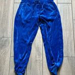 Sanctuary Royal Blue Track Pants Photo 0