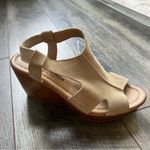 Anthropologie Barbara Barbieri Wedge Sandals Size 7.5 Italian Suede Taupe Shoes Brown Photo 5