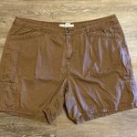 Croft & Barrow  Brown Lightweight Shorts Size 16 Photo 0