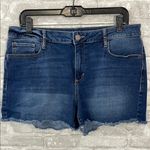 a.n.a  Mid Rise Denim Shorts with Distressed Hem Photo 0