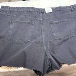 Cotton On  Curve Plus Sized Black Jean Shorts Distressed High-Waisted-Size 22-NWT Photo 4