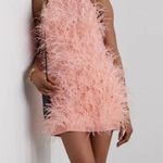 Cult Gaia $1398 NWOT  Shannon Dress Pink Feathers Size XS Photo 0
