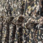 ZARA  Black and Cream Floral Long‎ Sleeve Tunic mini Dress deep V neck Size M Photo 2