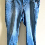 Torrid  Women's Size 22S Blue Denim 3-Button High Rise Stretch Ankle Jeggings‎ Photo 0