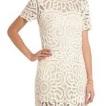 Sea New York Dress Women Size 4 Ivory Short Sleeve Battenburgh‎ Lace Shift Mini Photo 0
