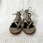 Rebecca Minkoff Evonne Taupe Grey Suede Lace Up Strappy Gladiator Sandals 6 Photo 5