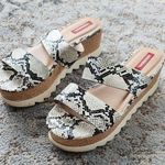 Unionbay  Zozo Platform Sandal Snakeskin 10 Photo 0