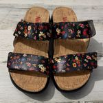 Alegria  Women's Black Bryce Floral Platform Sandals Photo 1