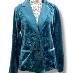 Mystree Anthropologie  Size S Teal Velvet Stripe Sleeve Blazer Jacket Photo 4