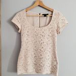 White House | Black Market  Cream Short Sleeve Lace Top Size XS Photo 0