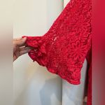 Nanette Lepore Formal Scarlet Dark Pink Lace Floral Ruffle Blouse Plus Size 4X Photo 4